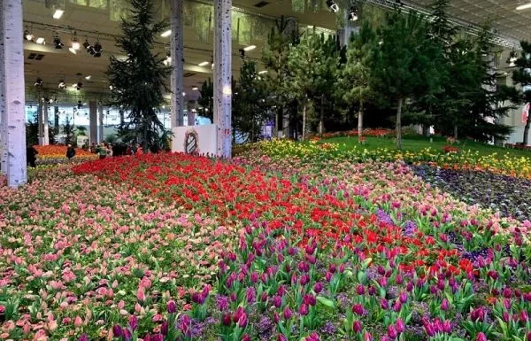 3 תערוכות שלא כדאי לפספס למטיילים חוזרים בברלין